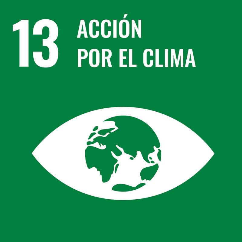 imporpack eco accion por el clima
