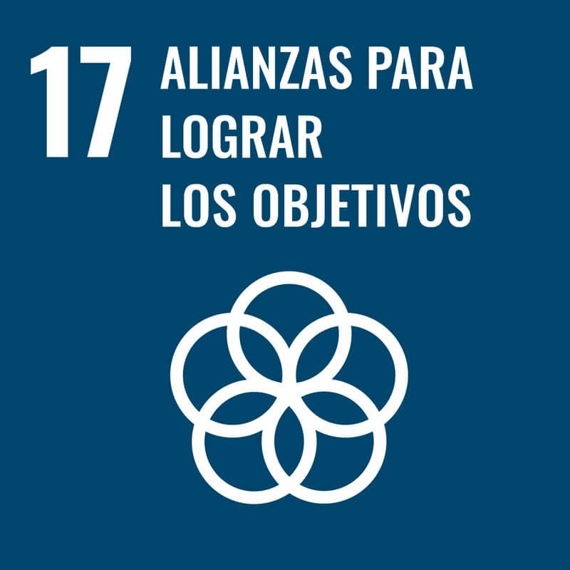 imporpack eco alianzas para lograr los objetivos