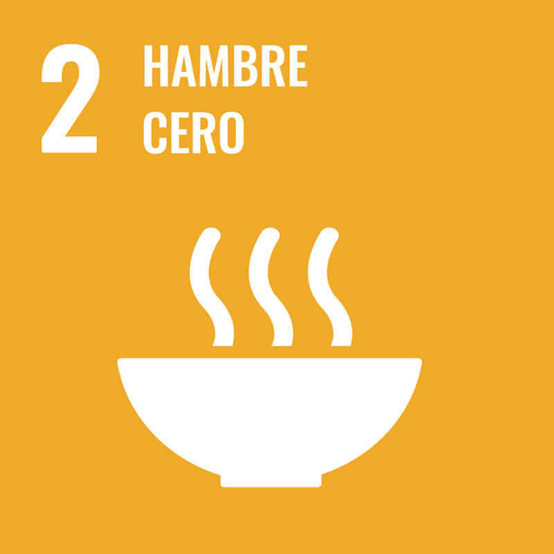 imporpack eco hambre cero