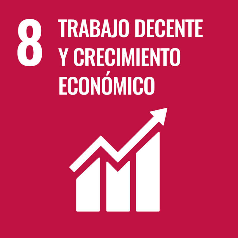 imporpack eco trabajo decente y crecimiento economico