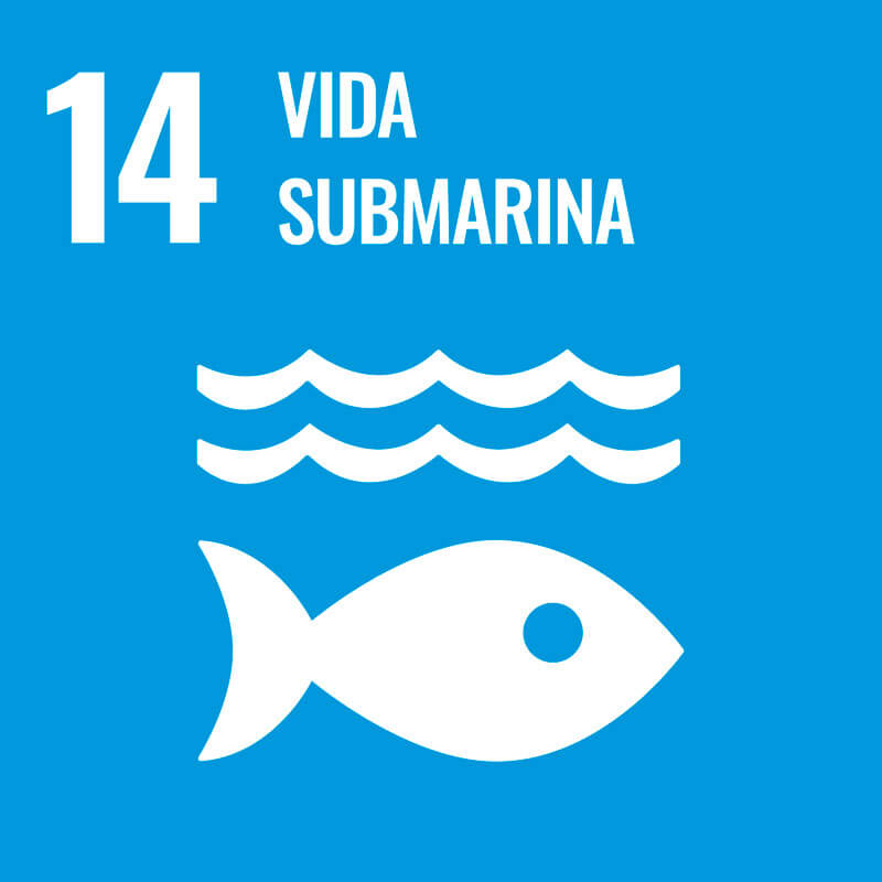 imporpack eco vida submarina